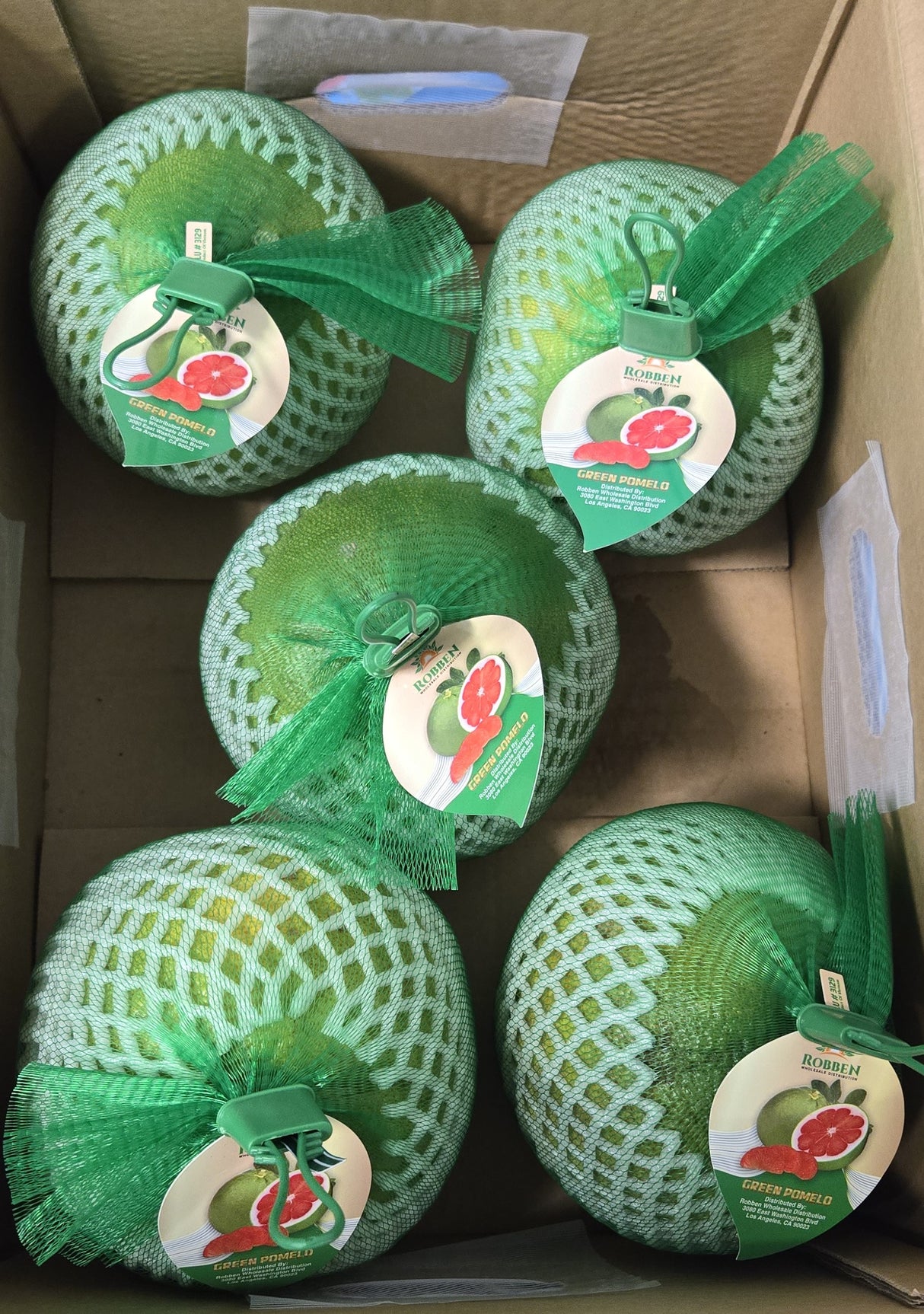 [F] Vietnamese Green Pomelo Red Meat