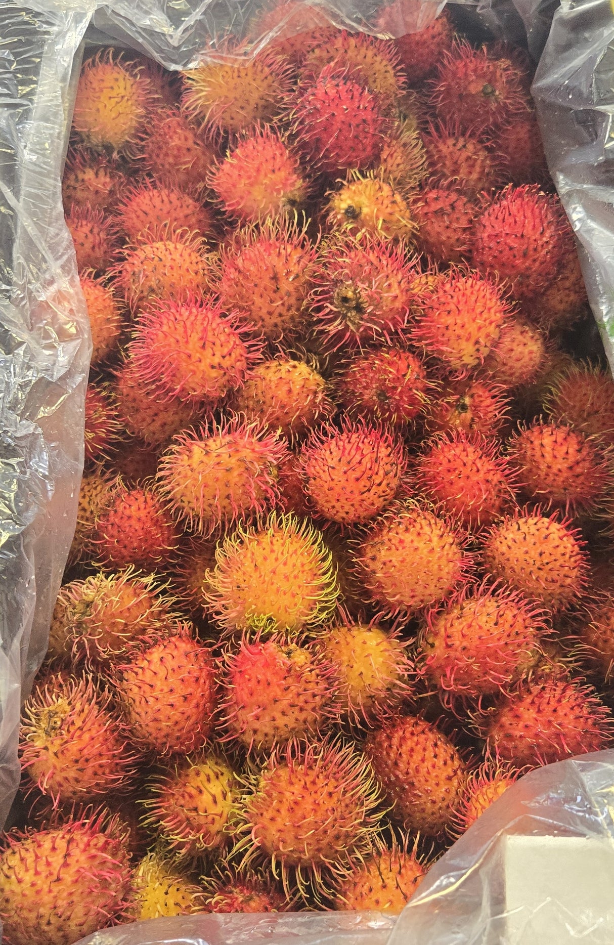 [F] Rambutan