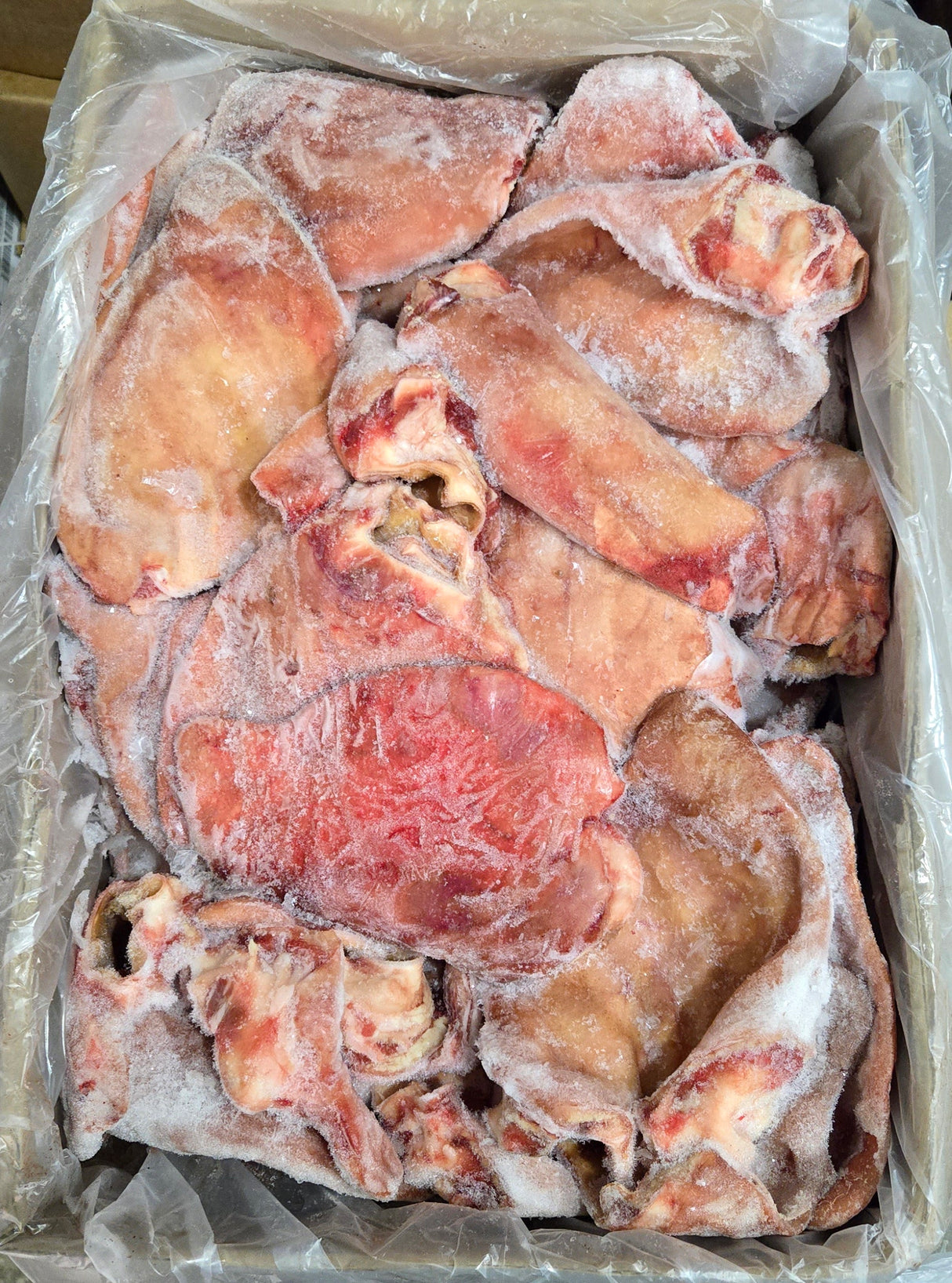 Frozen Pork Ear