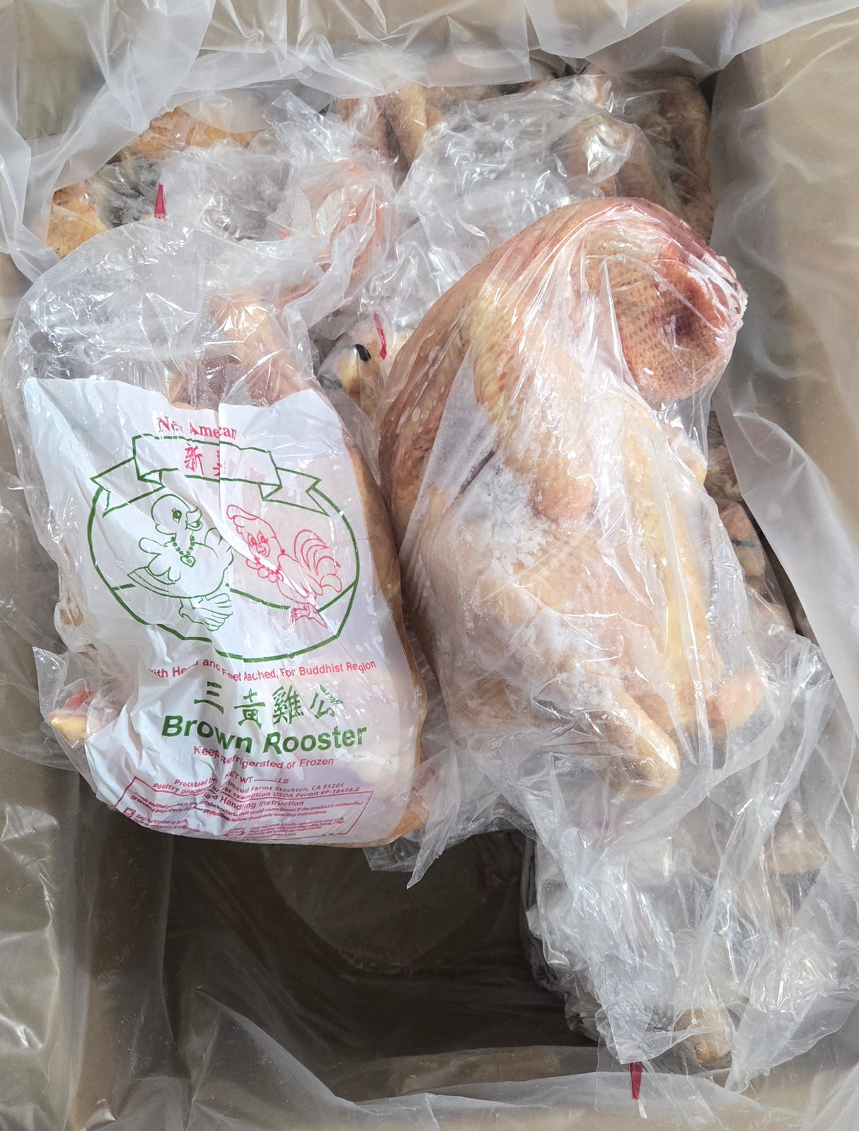 [Frozen Meat PT] Brown Rooster Chicken