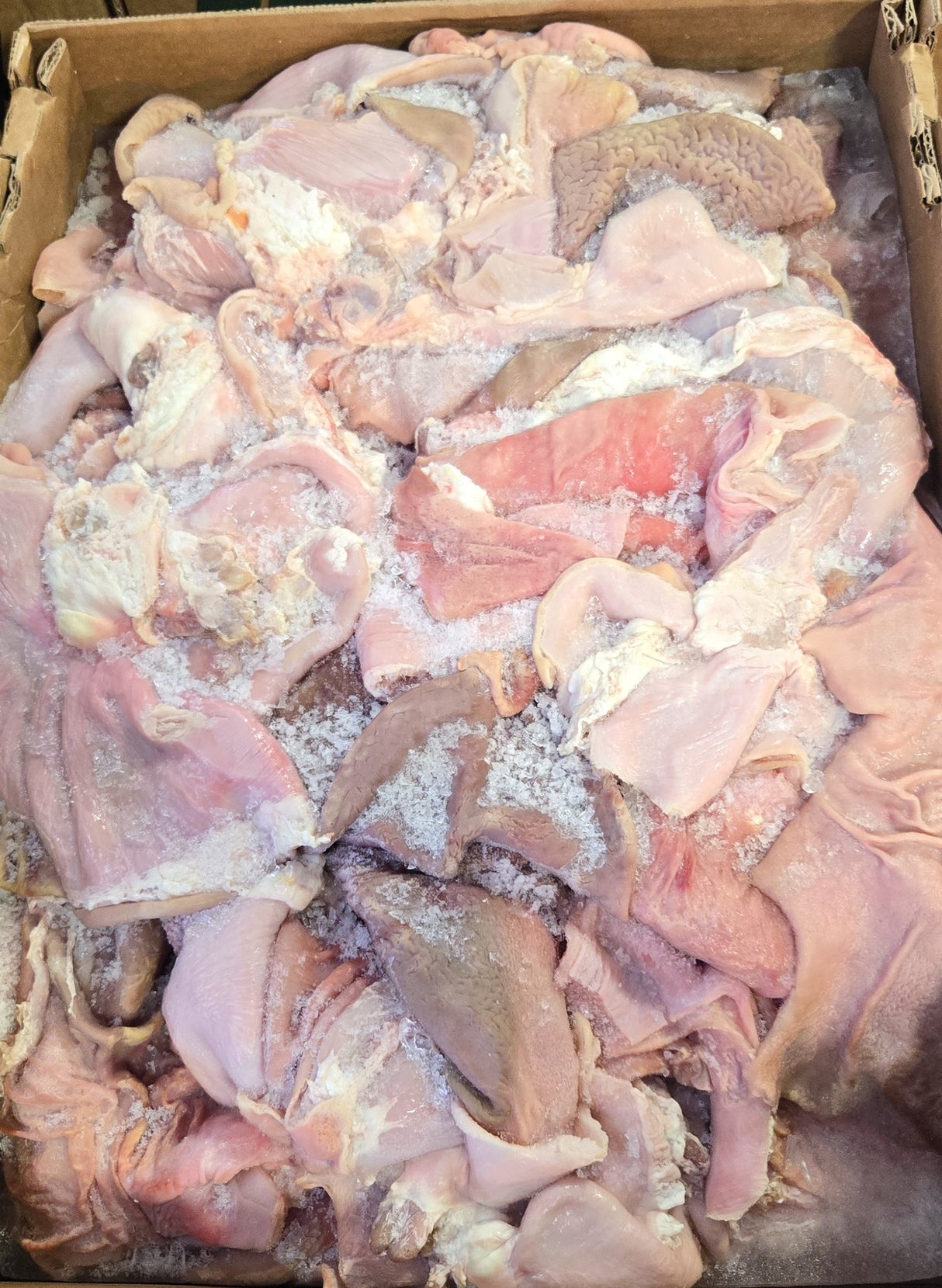 [Frozen Meat] Pork Stomach