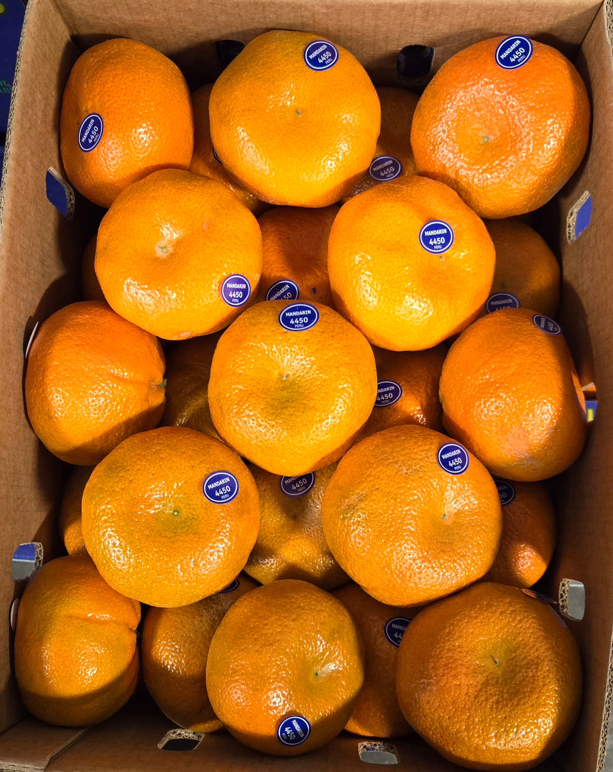 [F] Tango Mandarine