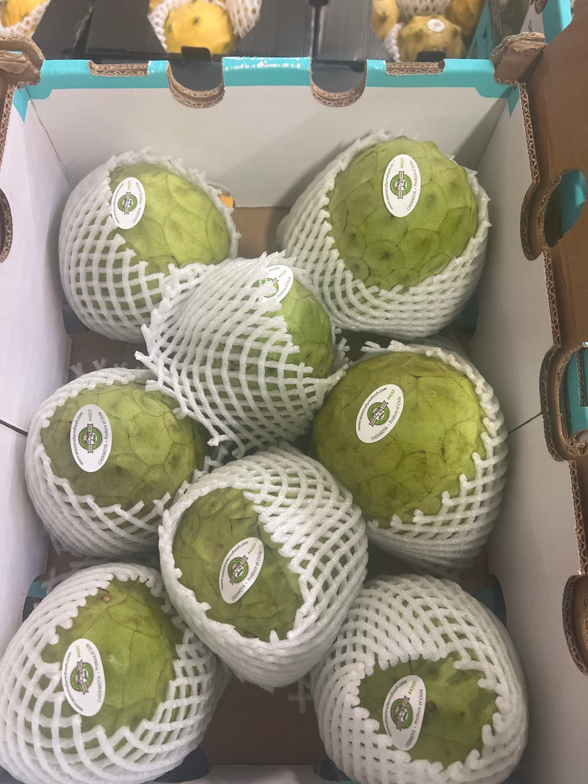 [F] Cherimoya