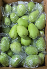 Chayote