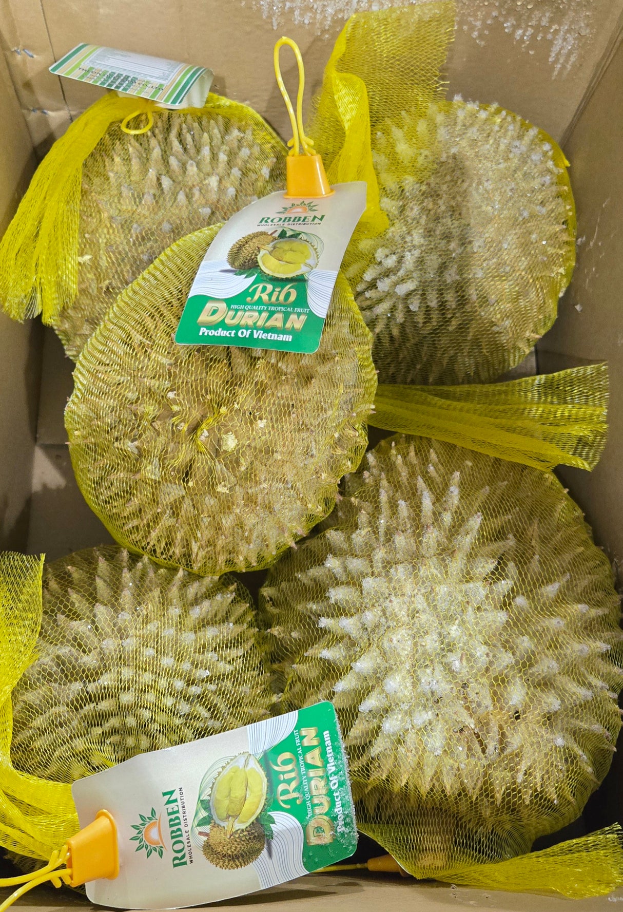 [FZ] Frozen Durian