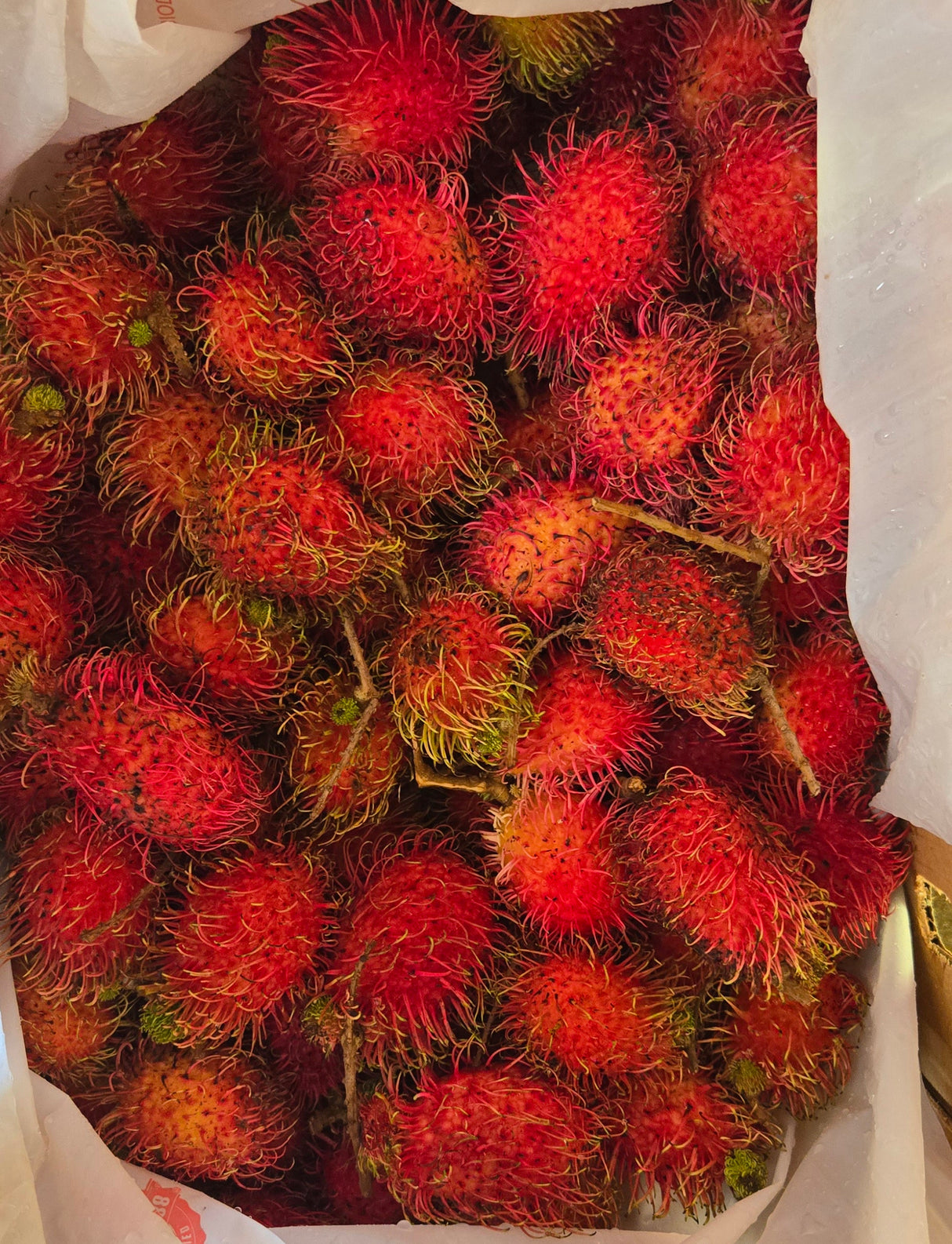 [F] Rambutan