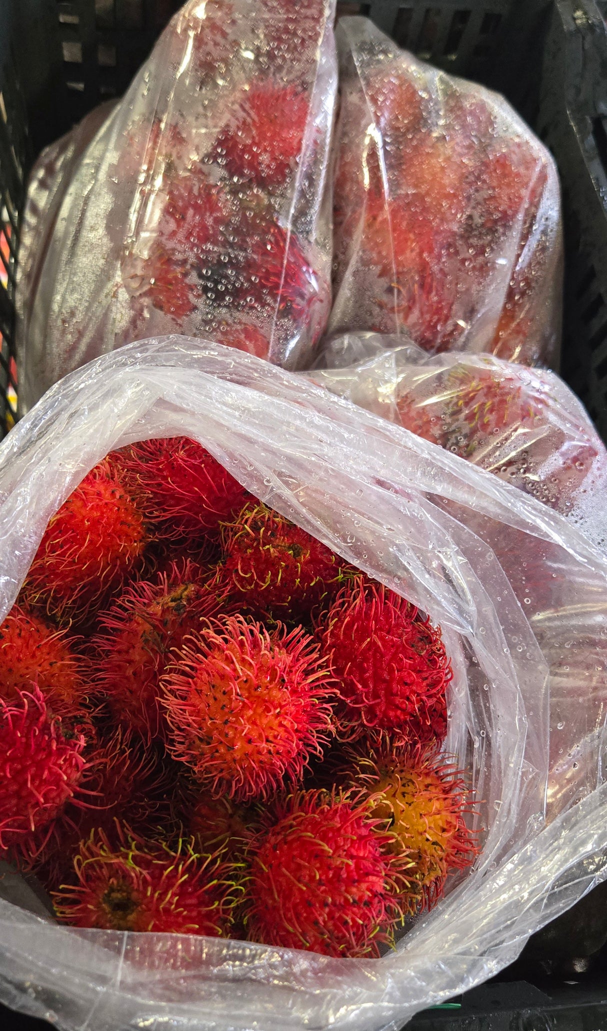 [F] RAMBUTAN 15 LBS