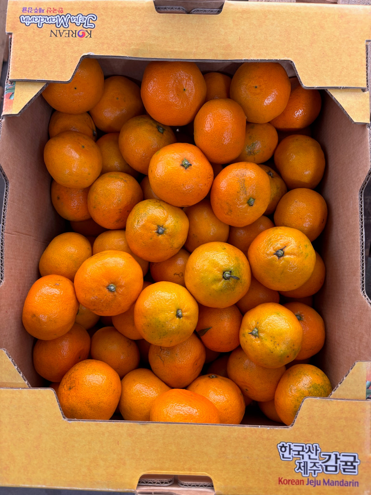 [F] KOREAN JEJU MANDARINE