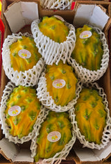 Yellow Dragon Fruit