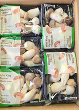 Mini King Mushroom