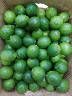 [F] Lime