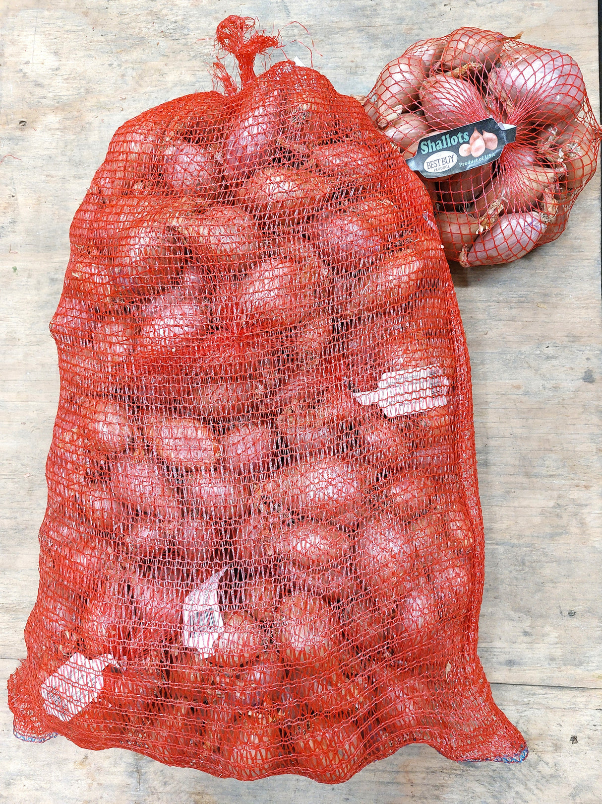 Shallot