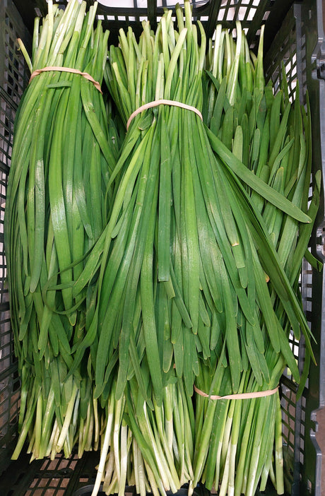 Chive