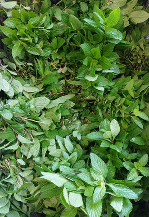 [Herbs] Peppermint