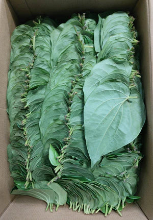 [Herbs] Pann Leaves