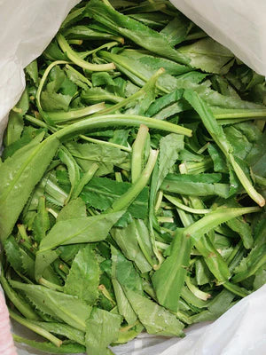 [Herbs] Hombay Leaves