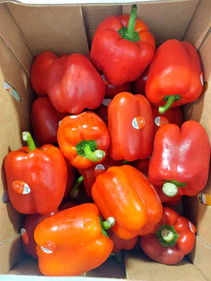 [PP] Red Bell Pepper