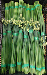 Chive Flower