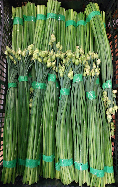 Chive Flower