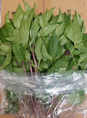 [Herbs] Thai Basil (Hawaii)