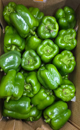 Green Bell Pepper