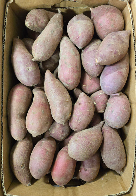 Japanese Yam
