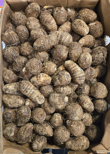 Malanga Eddo