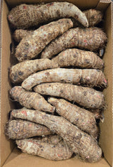 Malanga Lila