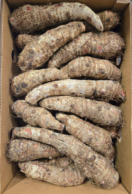 Malanga Lila