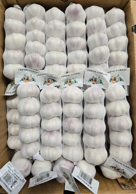 Garlic