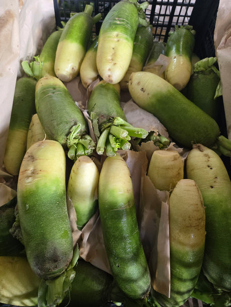 Green Daikon