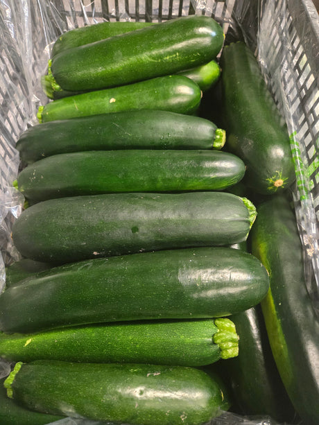 Zuchini
