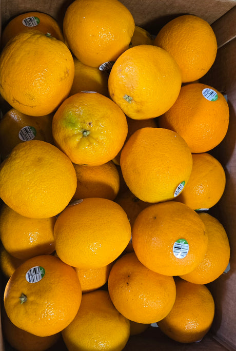 Orange Navel