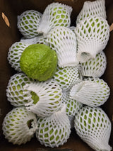 Guava
