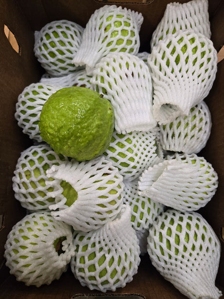 Guava