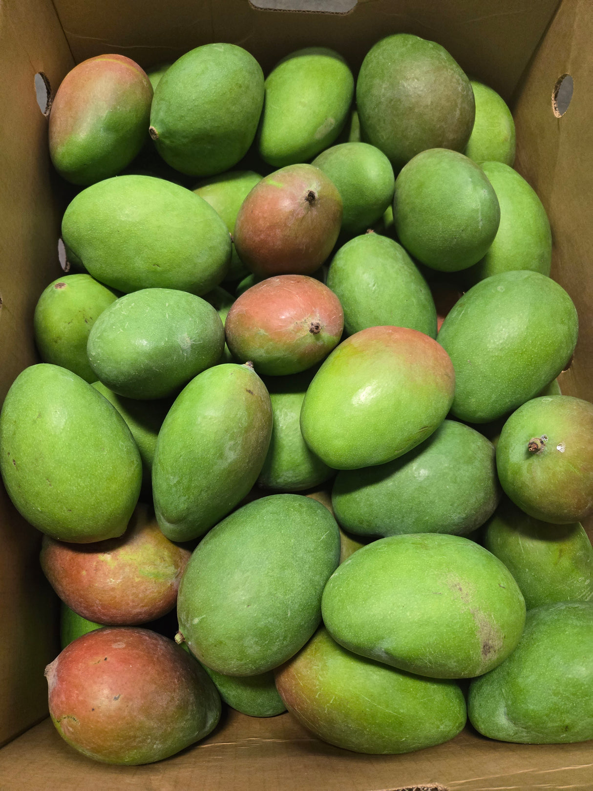 Green Mango