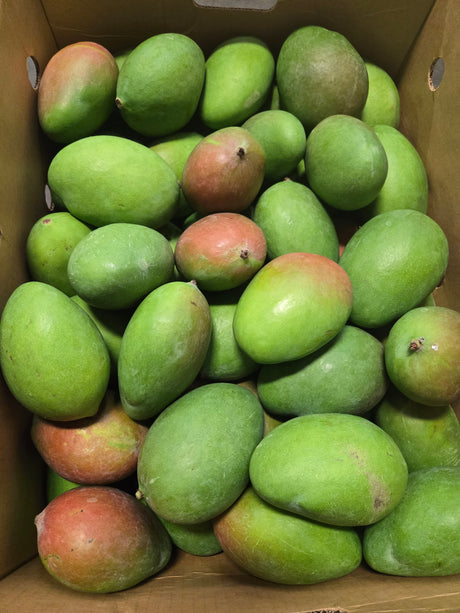 Green Mango