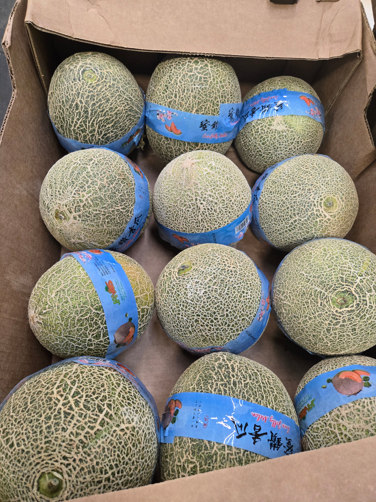 Diamond Melon