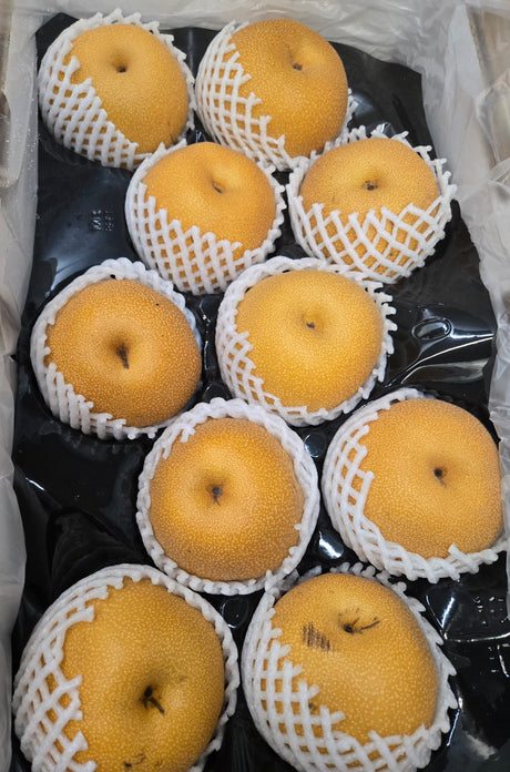 Asian Shingo Pear