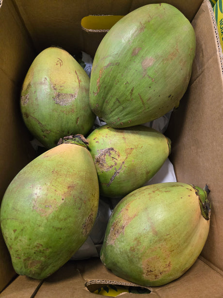 Fresh Green Coconut