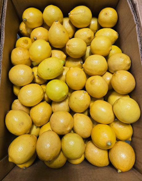 Lemon