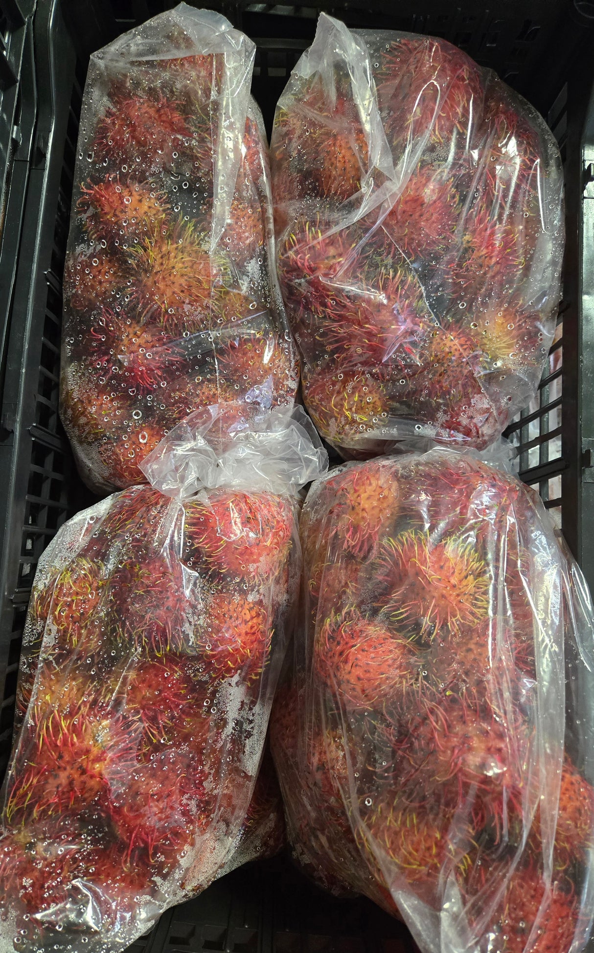 Rambutan
