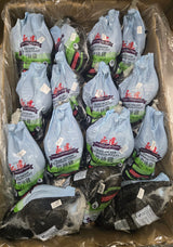 Black Chicken