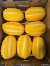 Korean Melon