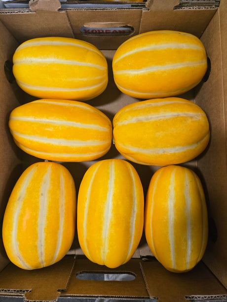 Korean Melon