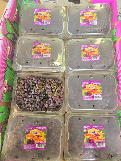 Black Champagnes Grape