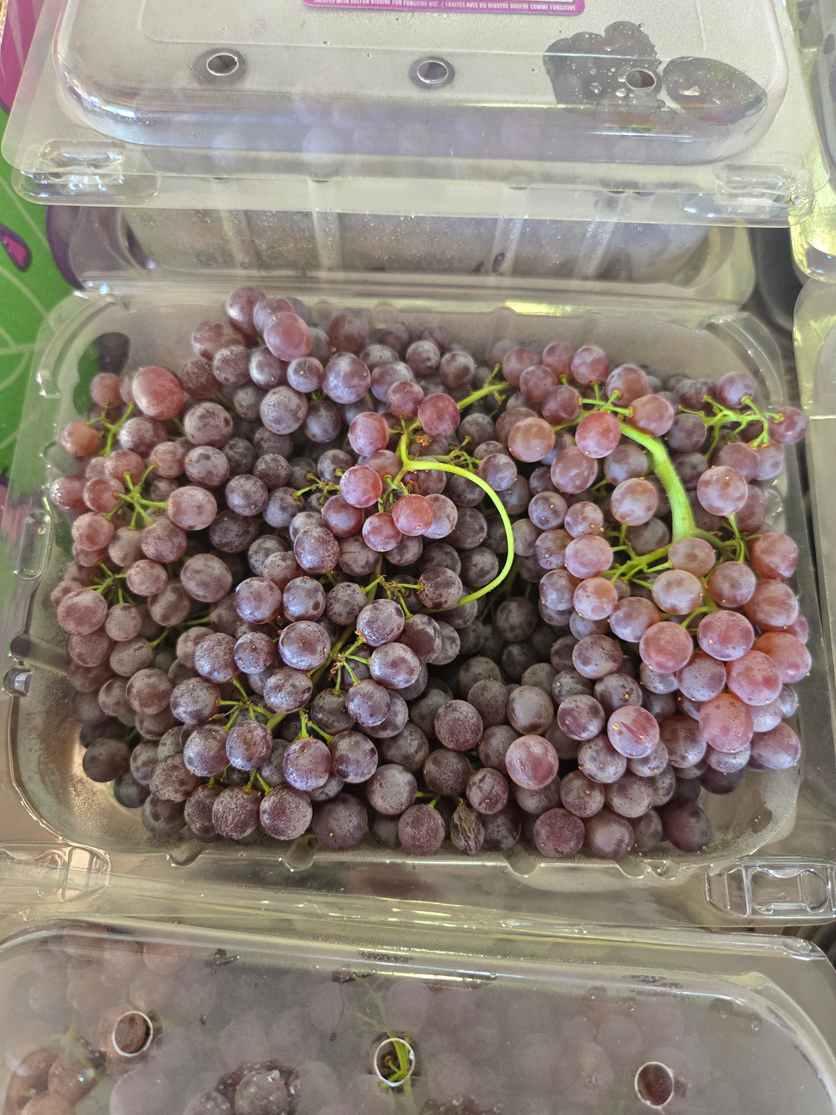 Black Champagnes Grape