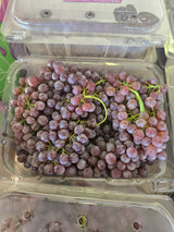 Black Champagnes Grape