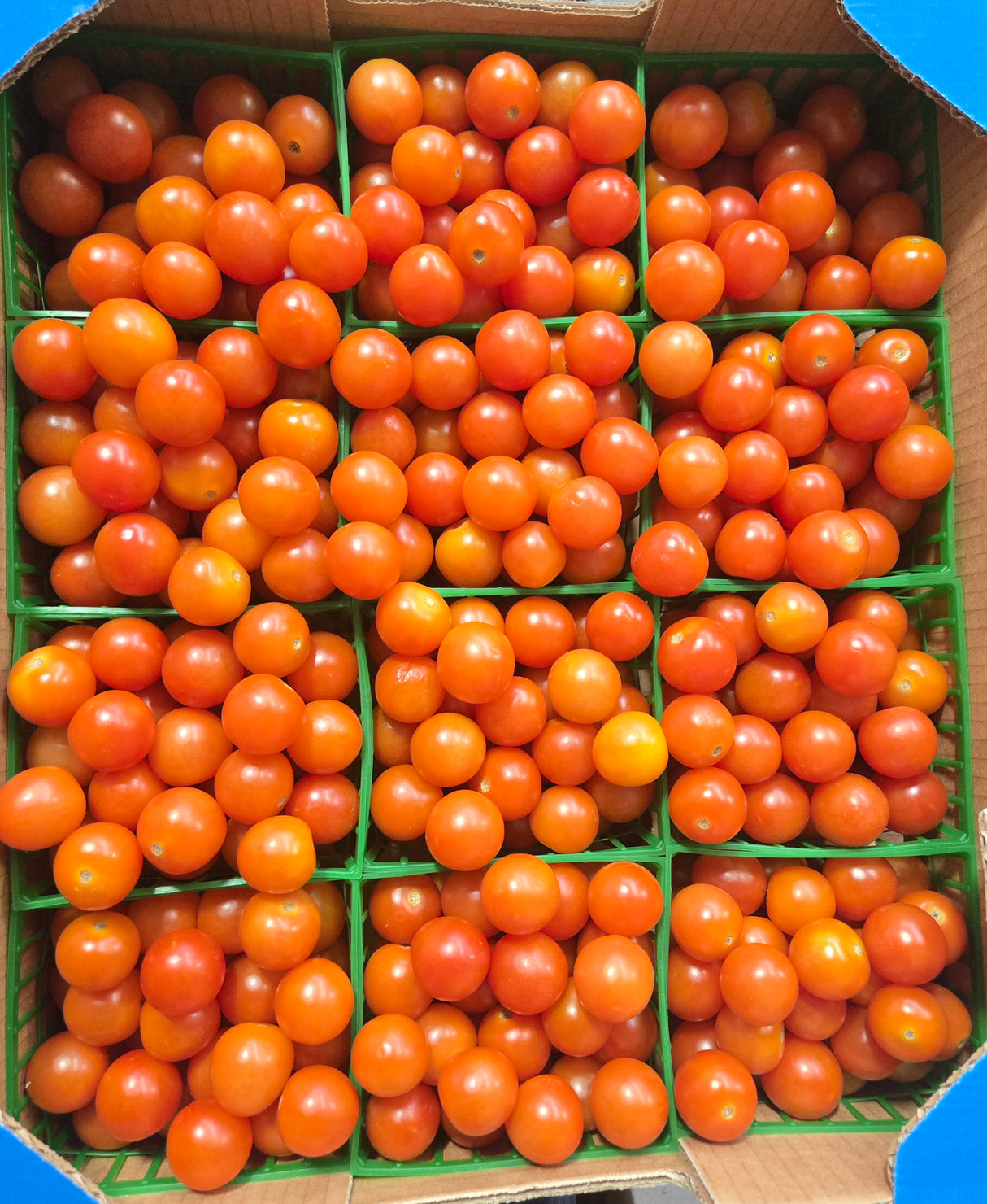 Cherry Tomatoes