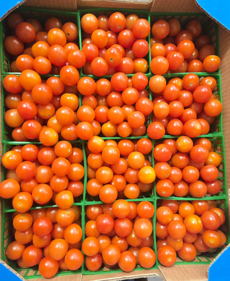 Cherry Tomatoes